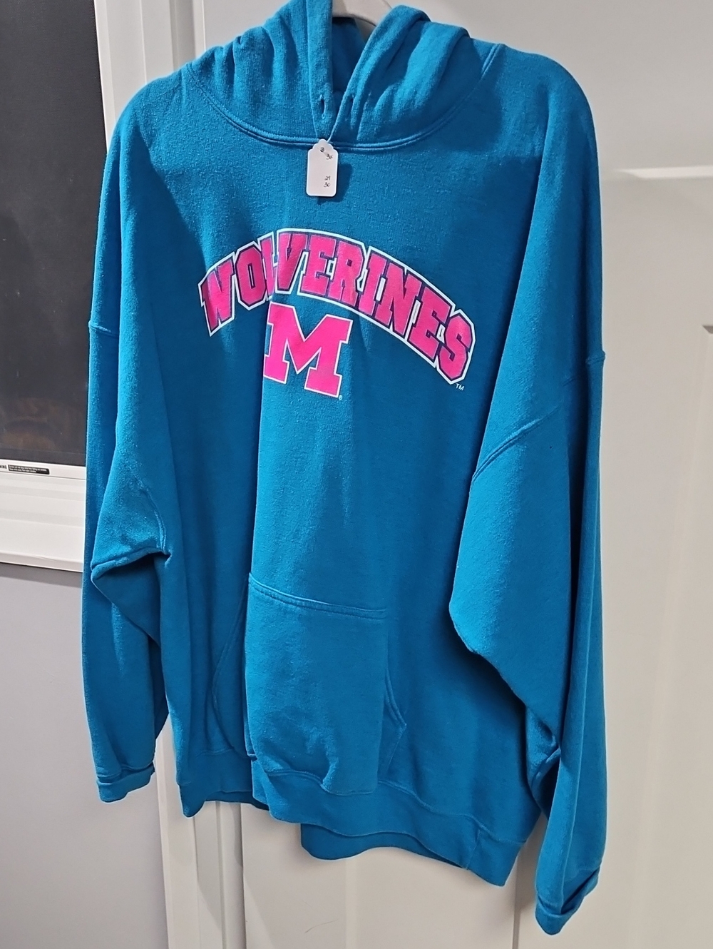 Gildan Teal Hoodie with Pink Wolverines M Logo